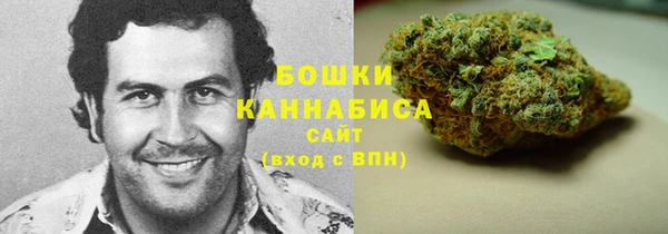 PSILOCYBIN Абаза