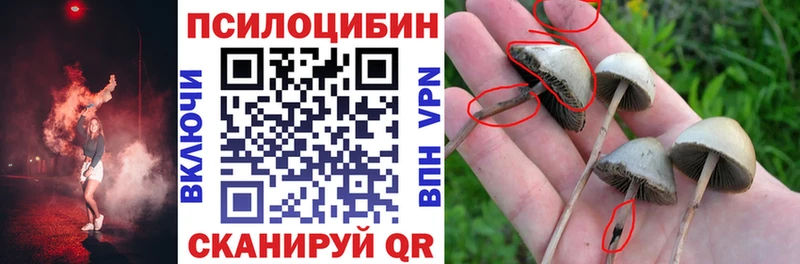 Галлюциногенные грибы мухоморы  MEGA ссылка  Воткинск 