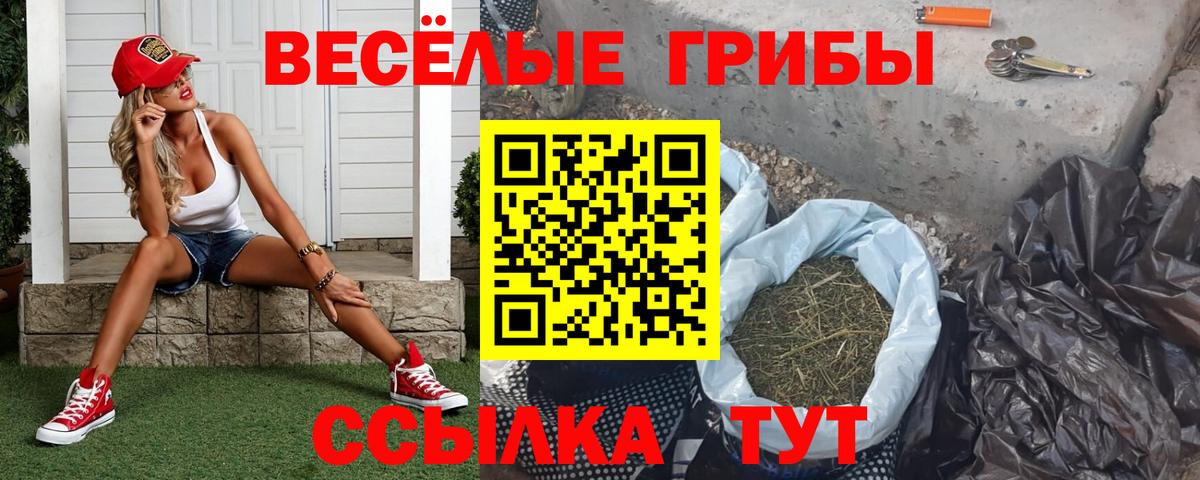 Галлюциногенные грибы прущие грибы Воткинск