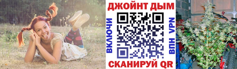 Бошки марихуана индика  где купить наркоту  Воткинск 